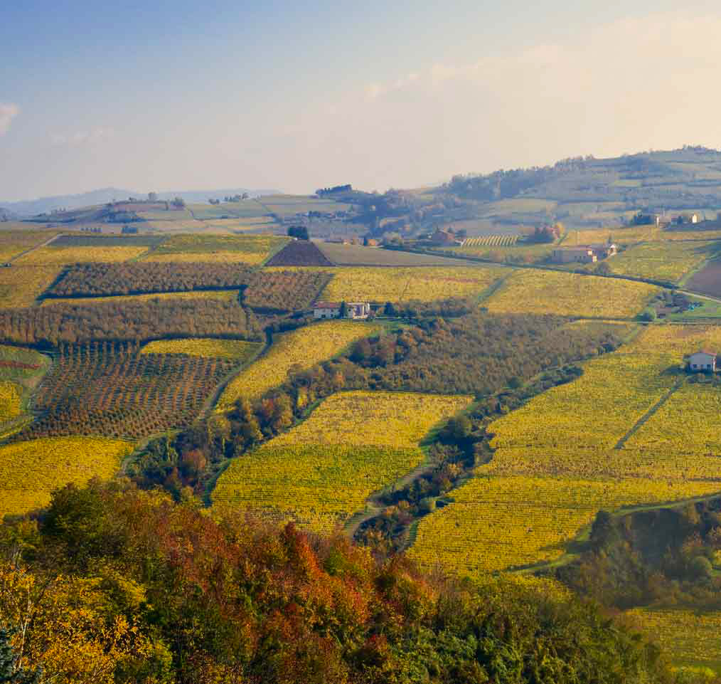 Il territorio il monferrato